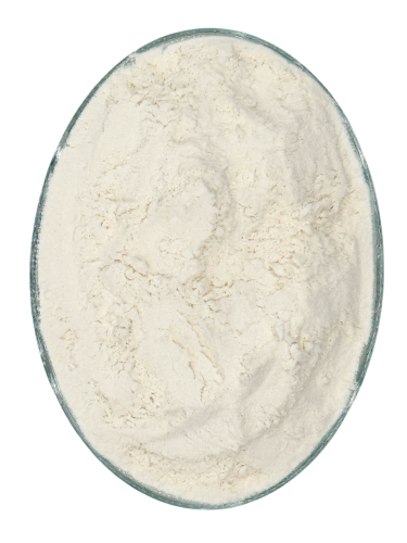 Corn Starch - Maize Starch - Corn Flour