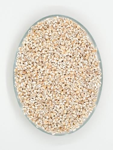 Barley Whole