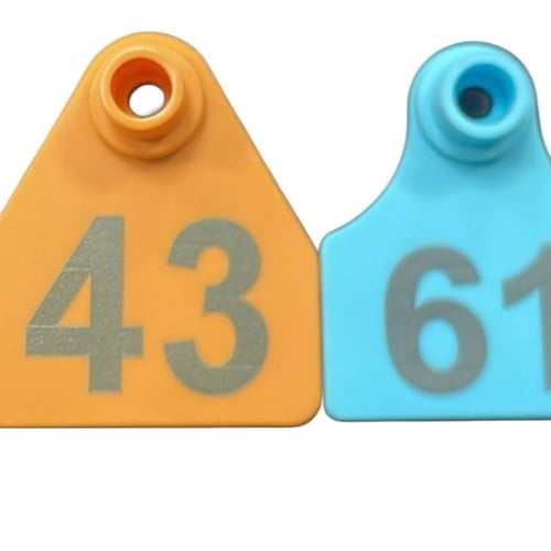 اطواق الرقبة ( ترقيم الحلال )