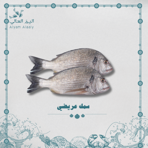 سمك عريضي (شوم) - Eirdi