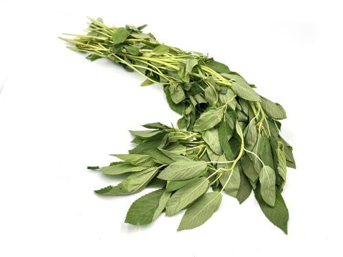 ملوخية حبة