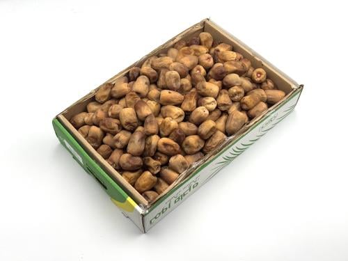 موسم نبتة علي