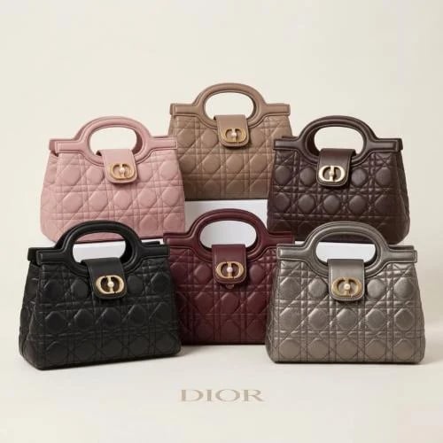 حقيبة ديور Dior ٢٠سم بتصميم مبطن ومقبض دائري ماستر...