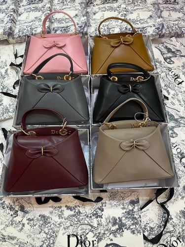 حقيبة نسائية أنيقة Dior ماستر كوالتي