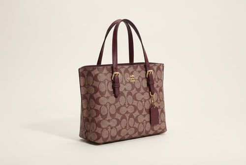 حقيبة نسائية أنيقة من علامة Coach بتصميم عملي ماست...