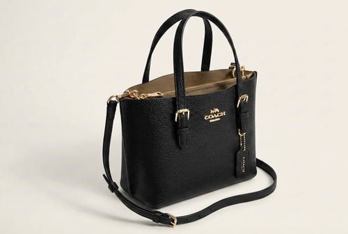 حقيبة كوتش نسائية صغير أناقة يومية بلمسة فاخرة ماس...