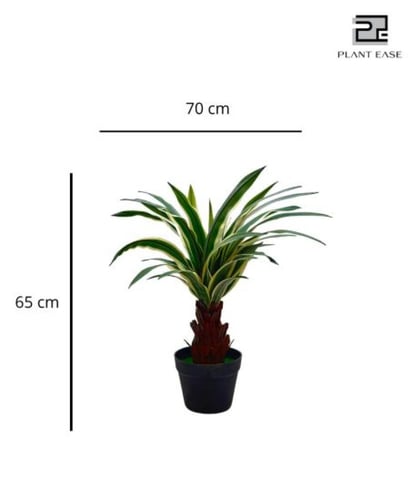 شجرة 8