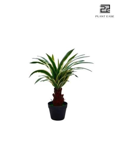 شجرة 8