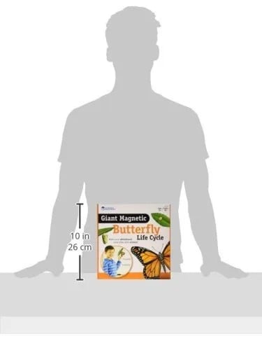 مجموعة عرض دورة حياة الفراشة المغناطيسية
