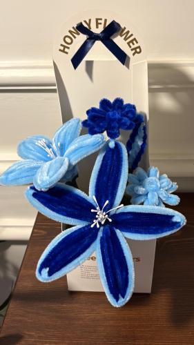 بلوم رونق💙