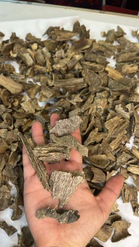 Vietnamese oud corners, super, and less