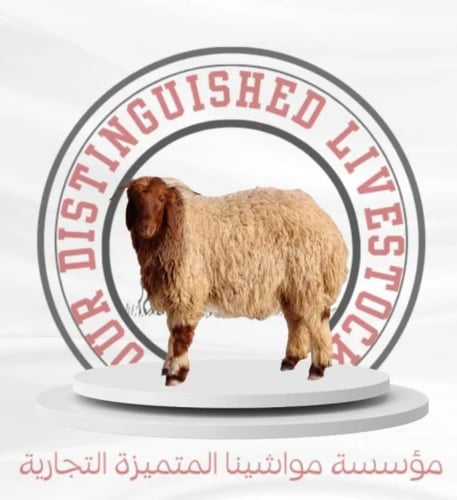 جذع ناهي نعيمي