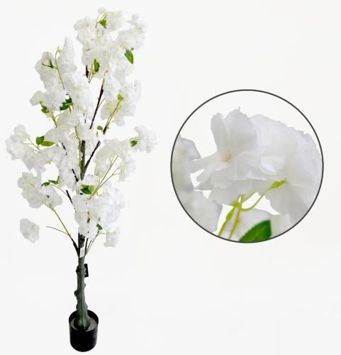 شجرة الكرز المزهر