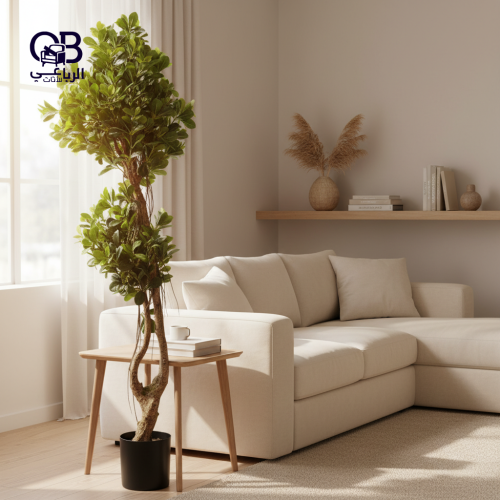 شجرة فيكس نيتيدا