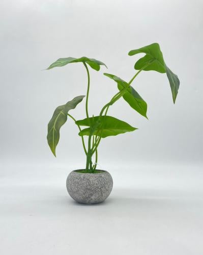 فازة سيراميك أنيقة تضيف لمسة جمالية