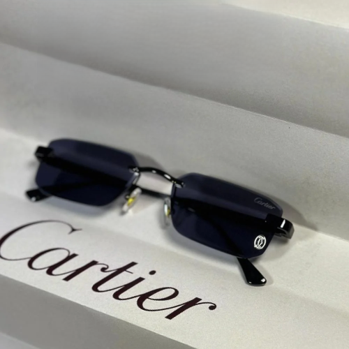Cartier luxury glasses rimless - WNR-Elite 250 edition