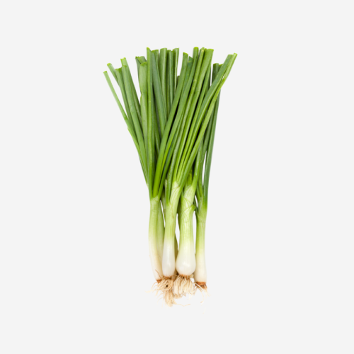 بصل أخضر - Green Onion - حـزمة واحـدة