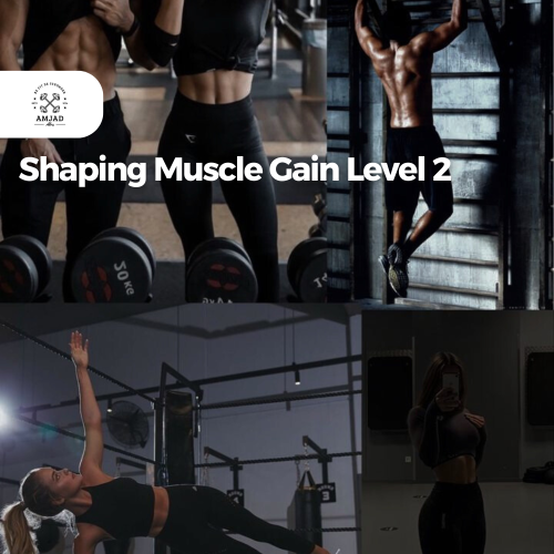 Shaping Muscle Gain Level 2