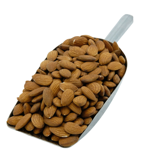 لوز امريكي