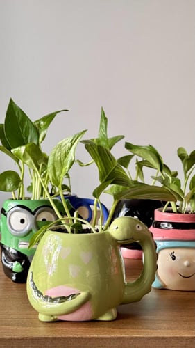 نبتة الكوب العشوائي