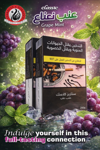معسل ستاربزز كلاسيك عنب نعناع – Starbuzz Classic G...
