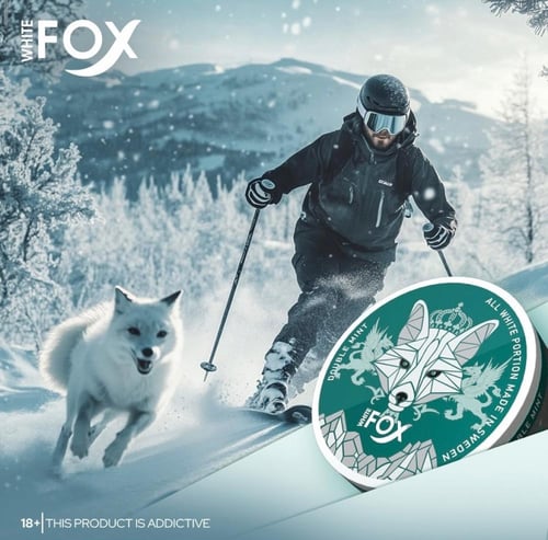 اظرف نيكوتين فوكس FOX