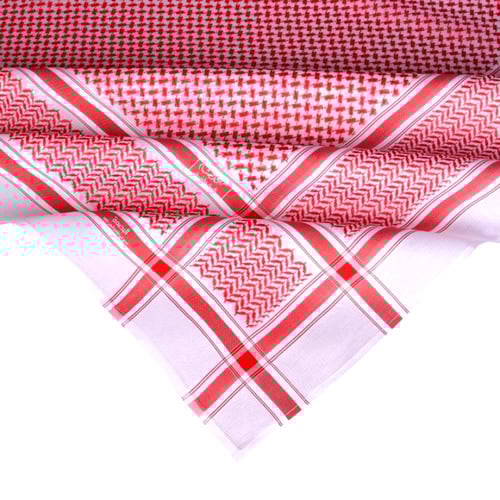 شماع البسام البصمة 29