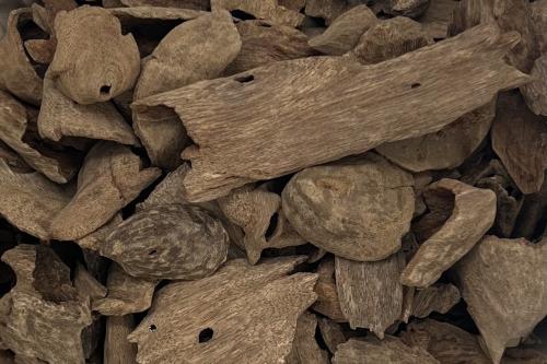 عود بورمي تربل أندر ووتر