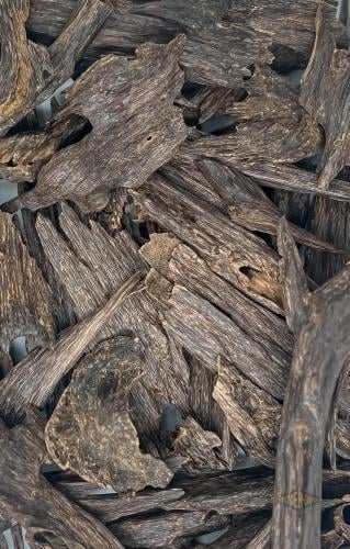 عود هندي امفال