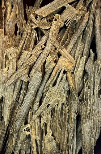 عود هندي امفال