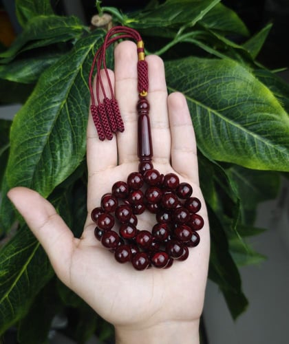 بكج 3 سبح بكلايت كركوشة