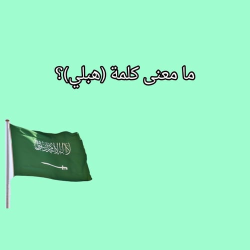 يوم التأسيس السعودي