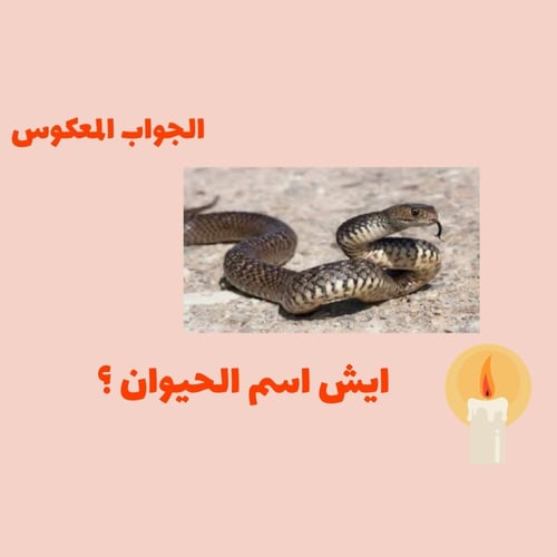 الجواب المعكوس الجزء الثاني