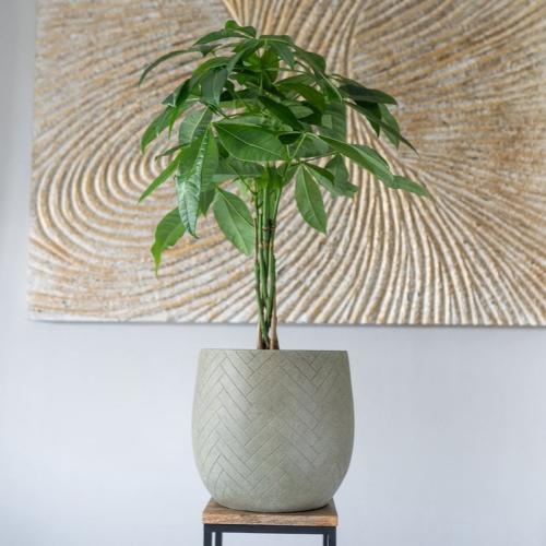 حوض دائري مضلع من الألياف بأربع أحجام ولونين