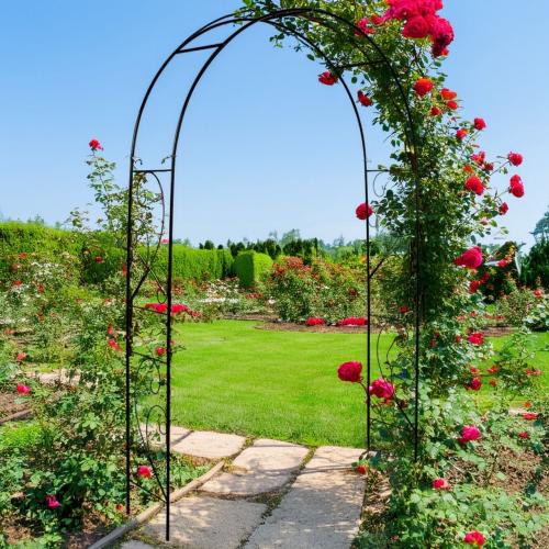 قوس ورد للحديقة (بقضبان / تصميم منحني)