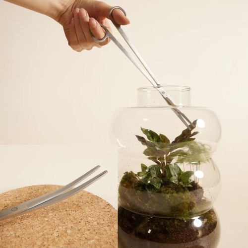 مقص تيراريوم