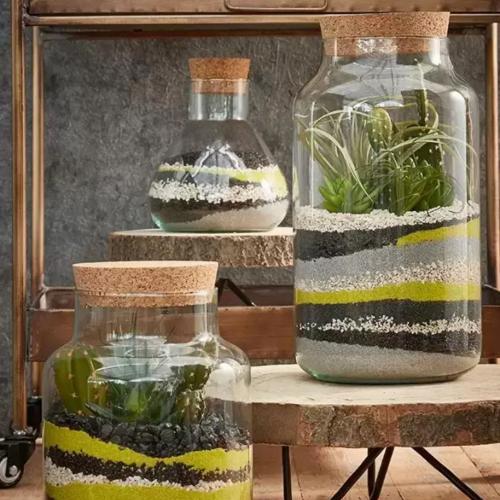 مرطبان تيراريوم شيلا