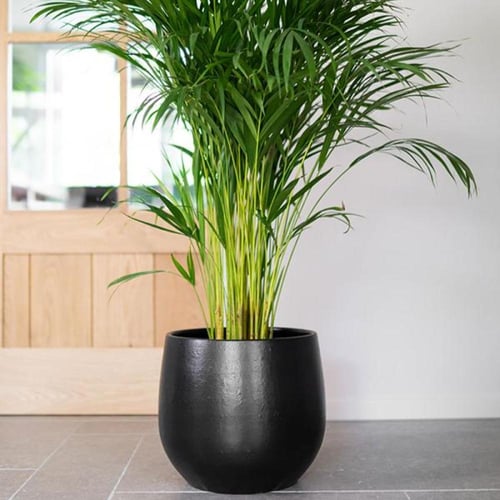 حوض دائري من السيراميك (5 أحجام: لونان)