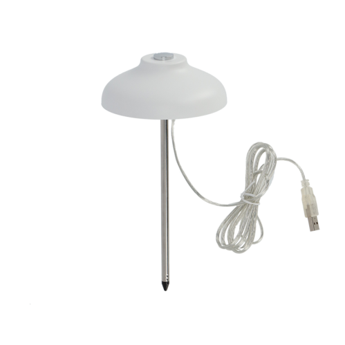 إضاءة لنمو النباتات