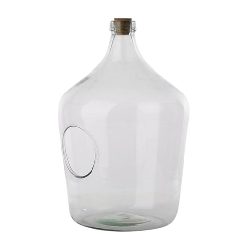 زجاجة تيراريوم مفتوحة