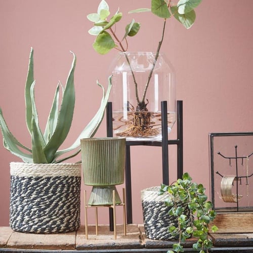 مزهرية زجاجية دالي أسطوانية