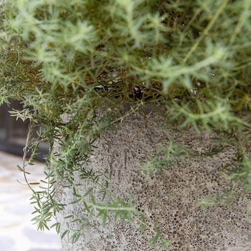 حوض أبيض إمبراطوري - الارتفاع: 52 × ⌀:60 سم