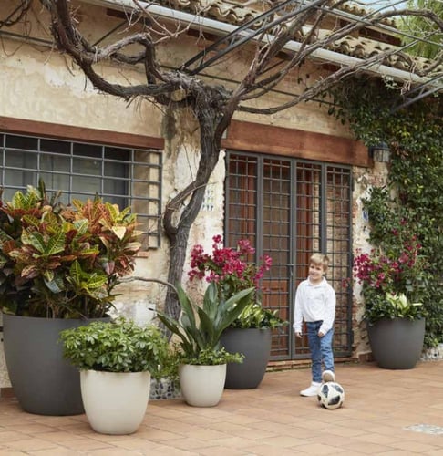 حوض نبات بلاستيكي على شكل وعاء (⌀: 18 سم)