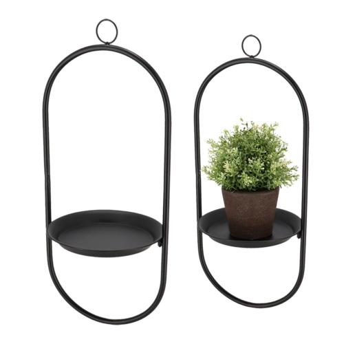 علاقة نباتات