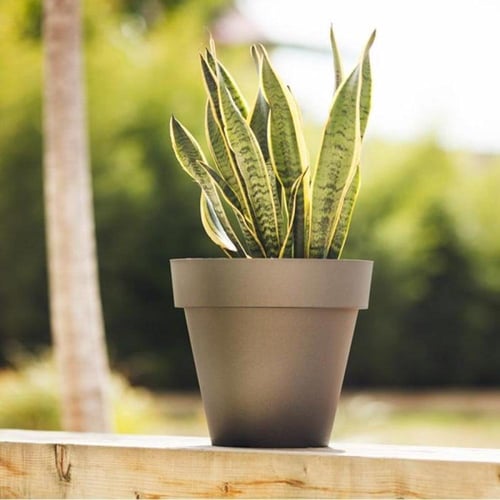 أحواض زرع بلاستيك على شكل مخروطي (⌀: 100 سم)