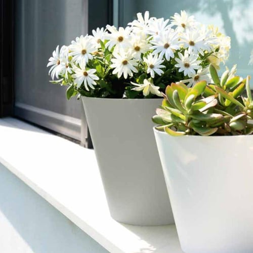 أحواض زرع بلاستيك على شكل مخروطي ⌀ :26 سم)