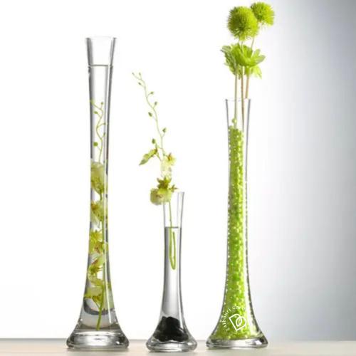 مزهرية زجاجية رفيعة (صغير) 25 × 8