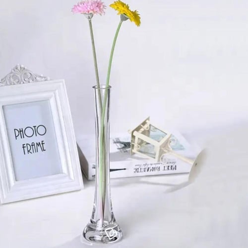 مزهرية زجاجية رفيعة (صغير) 25 × 8