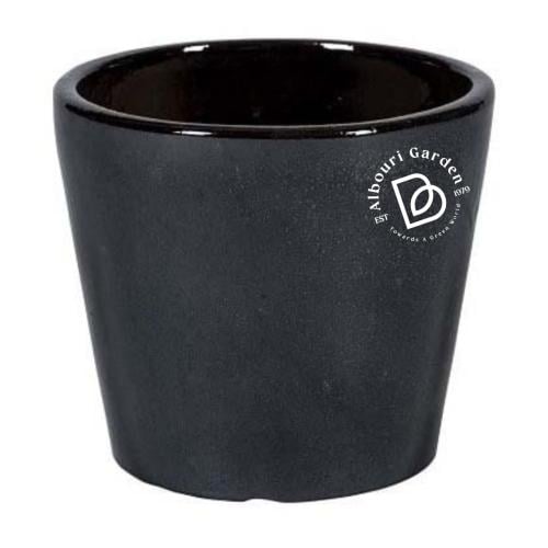 شنغهاي أحواض