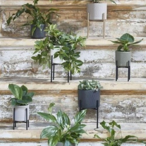 أصيص إيرا دائري